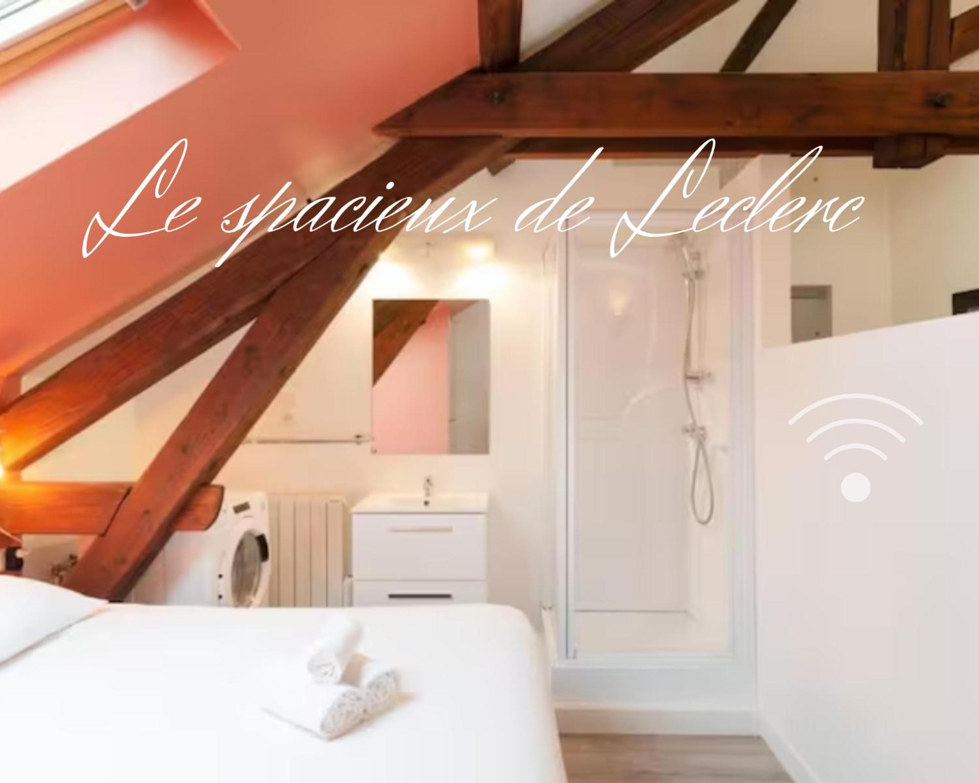 נאנסי Residence Leclerc - Appartements D'Hotes - Secteur Thermal חדר תמונה